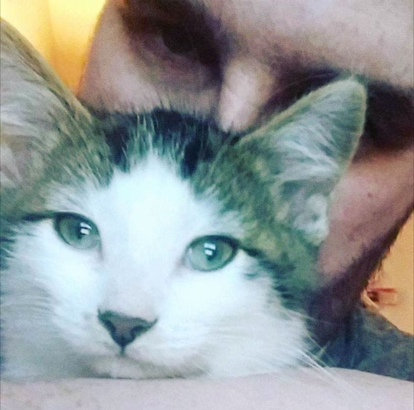 The only photo that exists of me with Oliver.